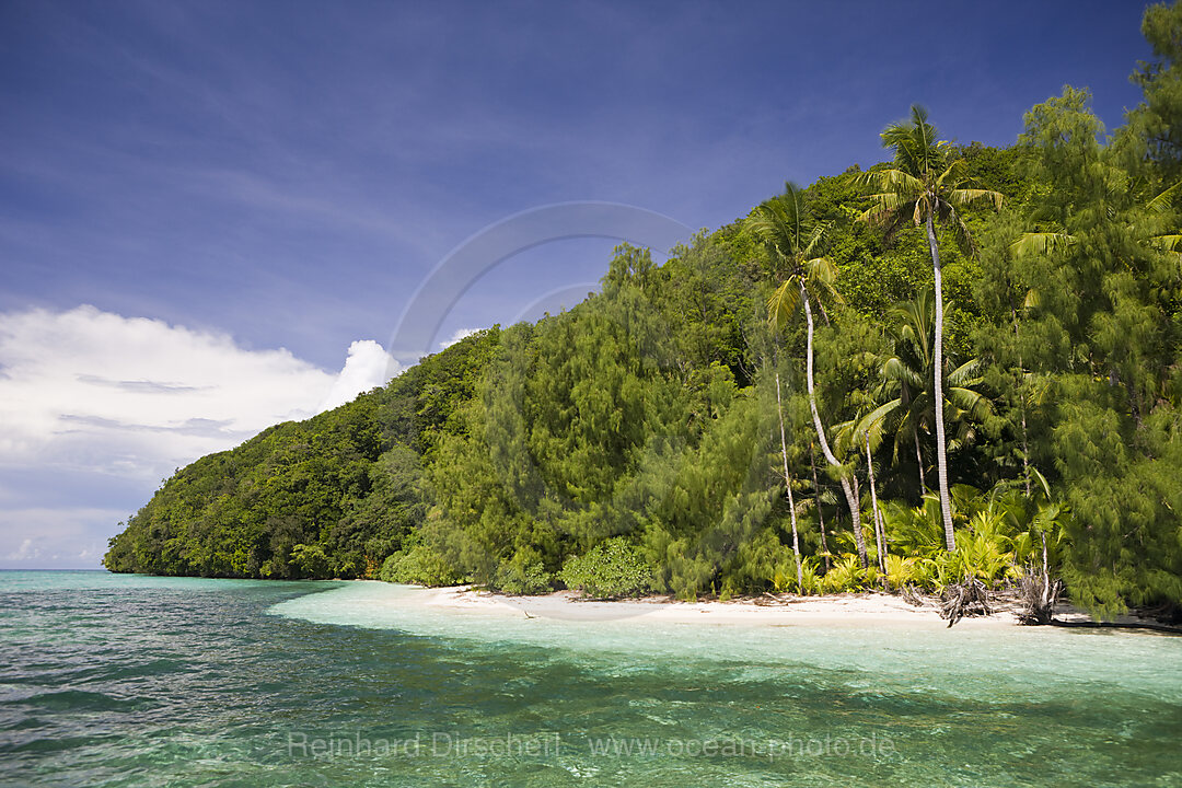 Palm-lined Beach at Palau