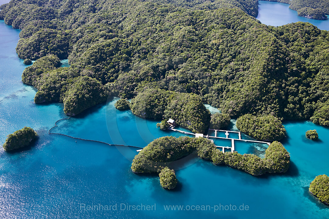 Dolphin Bay in Rock Islands