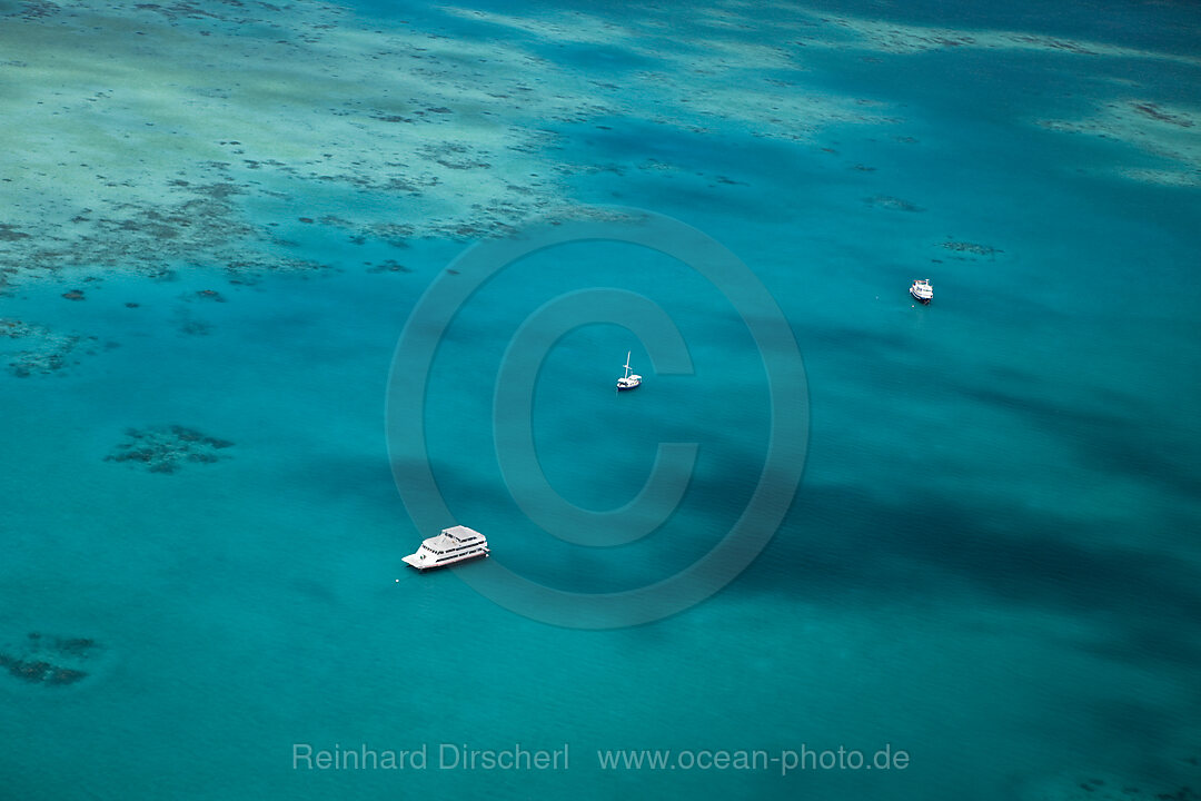 Liveaboards in Lagoon of Palau