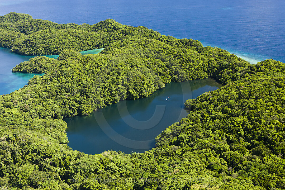 Aerial View of Jellyfish Lake of Palau