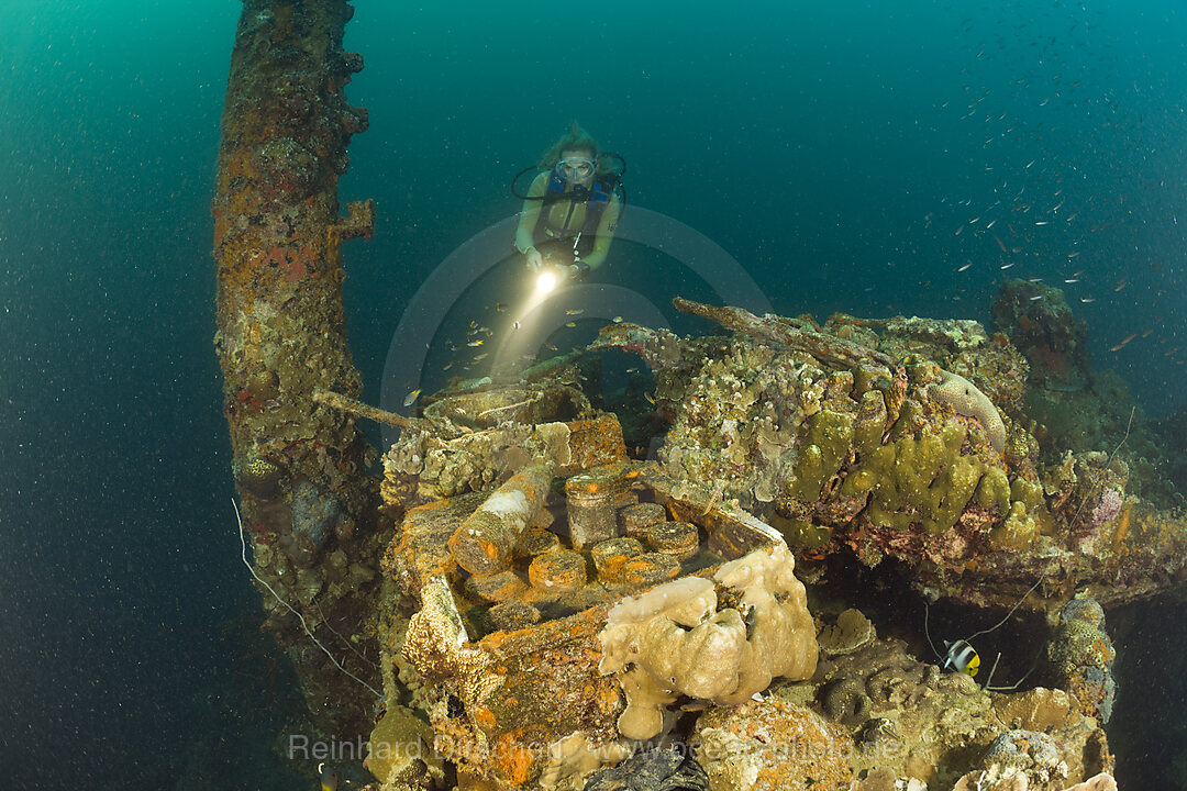 Taucher findet scharfe Munition aus dem 2. Weltkrieg auf Japanischen Kriegschiff Helmet Wrack, Mikronesien, Palau