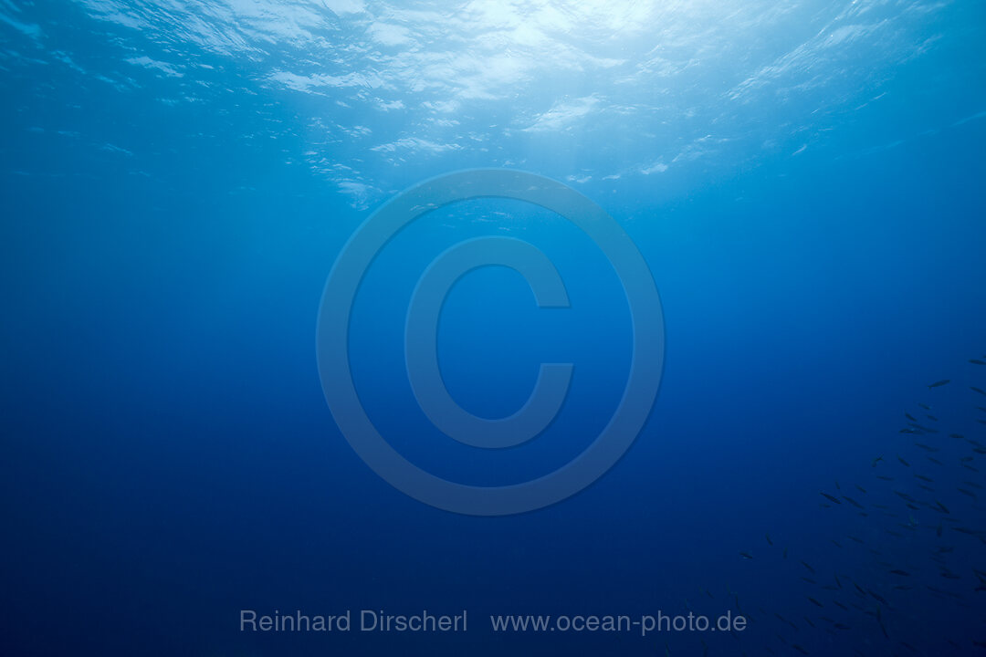 Ocean Depth