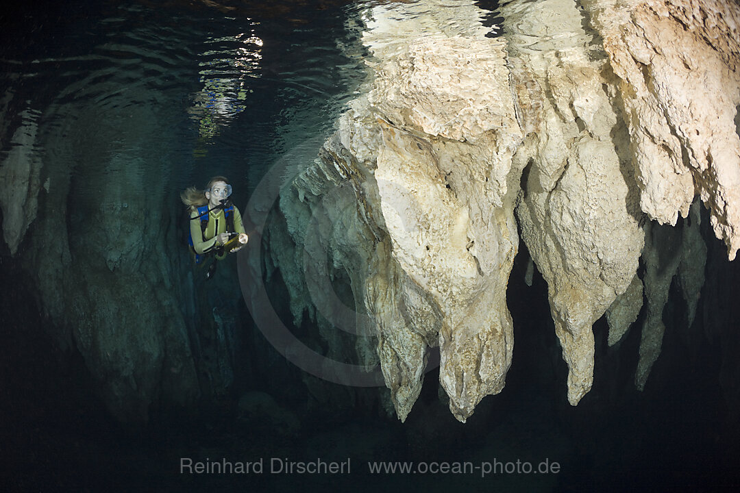 Taucher in Chandelier Cave Unterwasser-Tropfsteinhoehle, Mikronesien, Palau