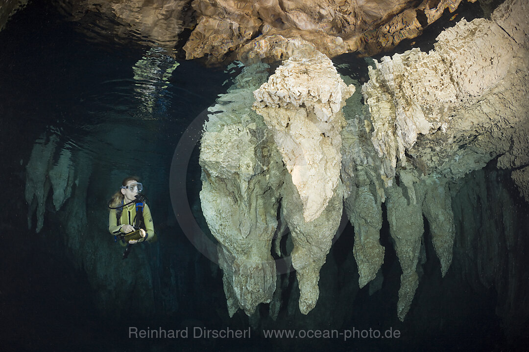 Taucher in Chandelier Cave Unterwasser-Tropfsteinhoehle, Mikronesien, Palau