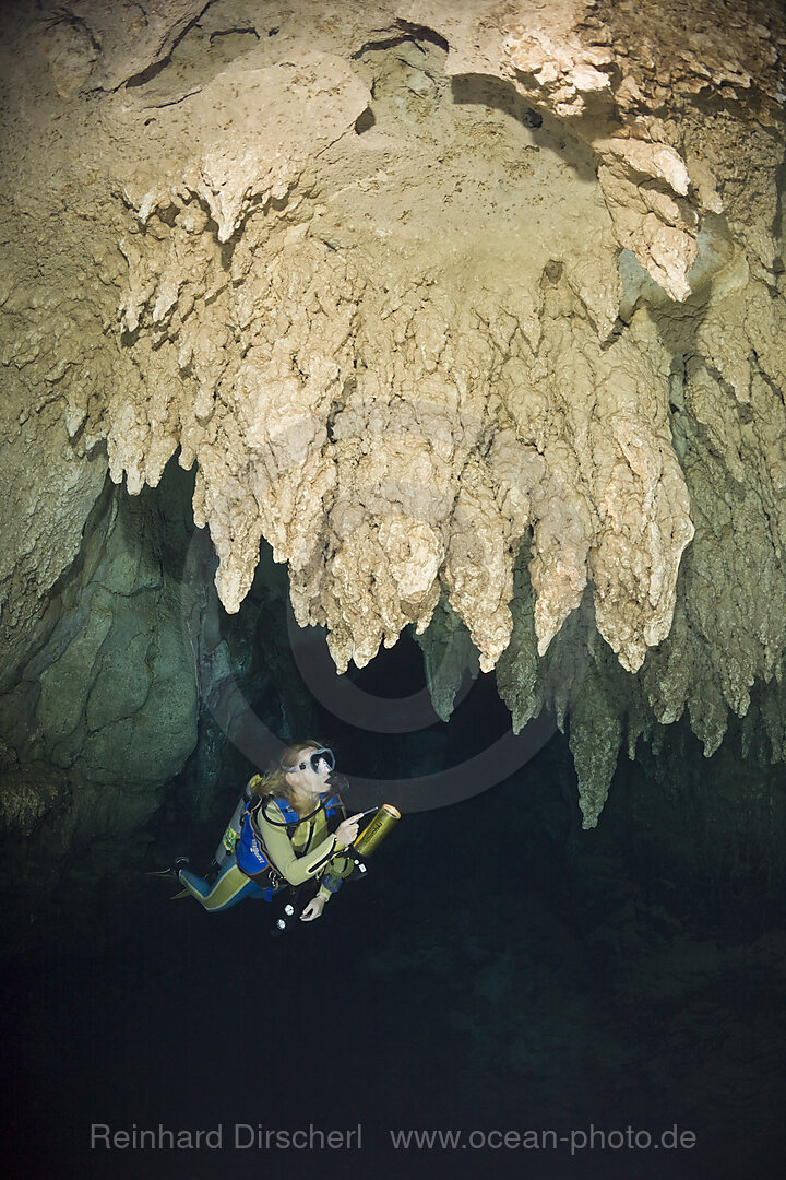 Taucher in Chandelier Cave Unterwasser-Tropfsteinhoehle, Mikronesien, Palau