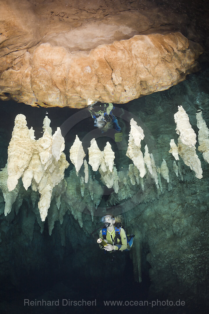 Taucher in Chandelier Cave Unterwasser-Tropfsteinhoehle, Mikronesien, Palau