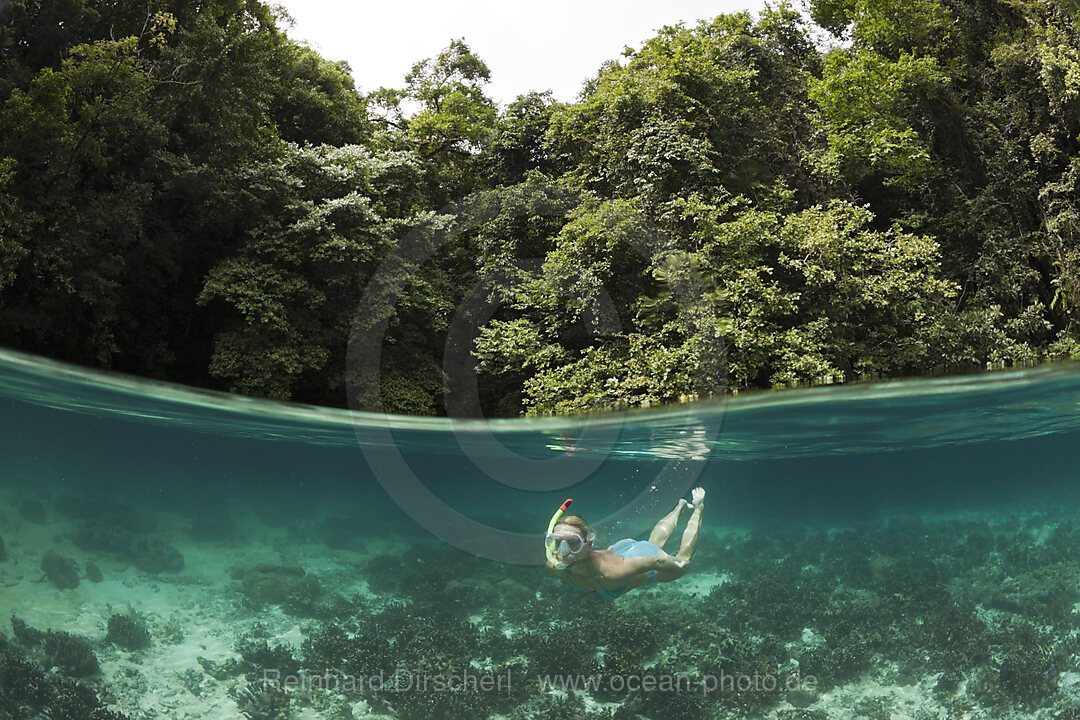 Schnorcheln in den Rock Islands, Risong Bay Mikronesien, Palau