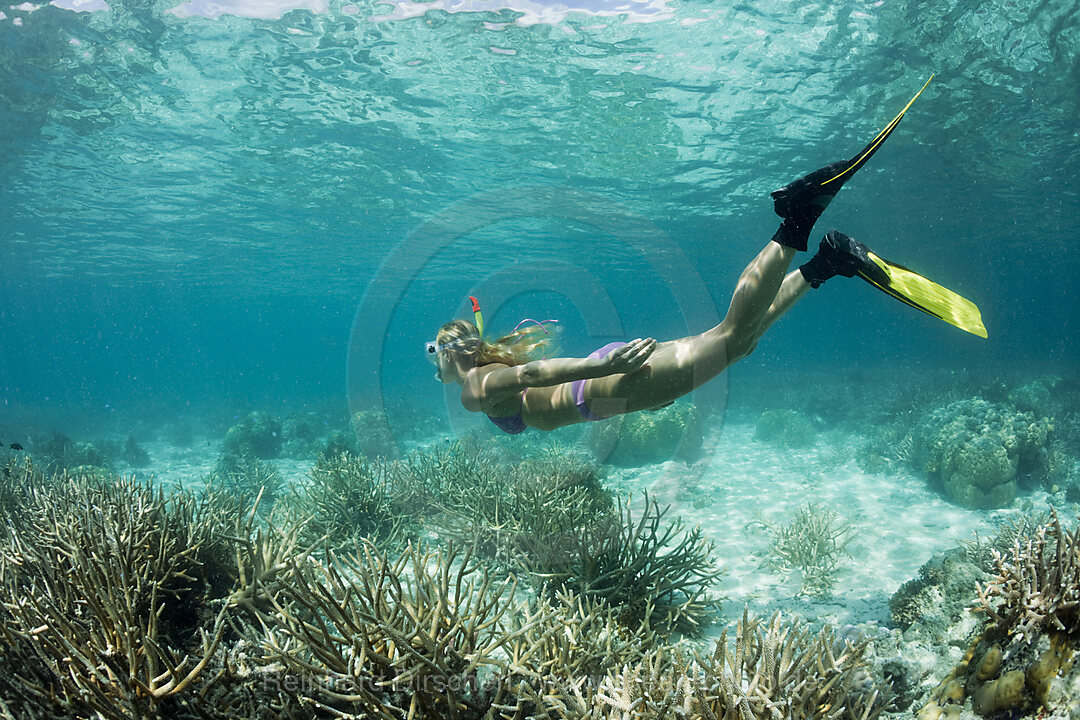 Abtauchen in Palau, Mikronesien, Palau