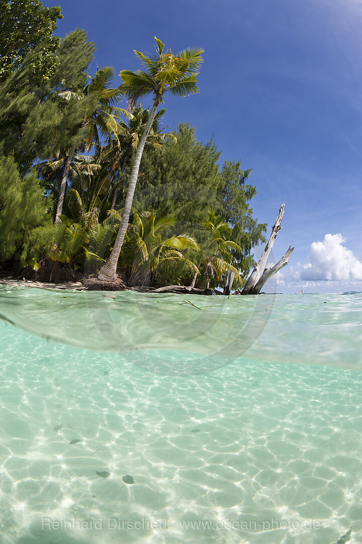 Palmenstrand und Lagune, Mikronesien, Palau