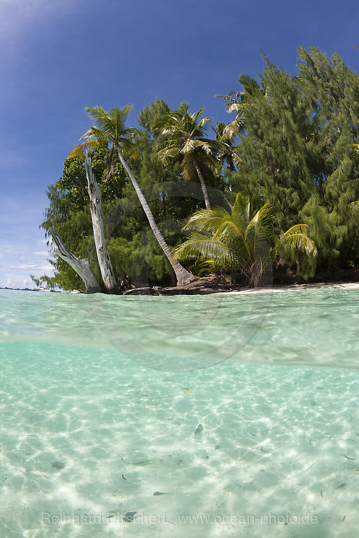 Lagoon and Palm-lined Beach, Micronesia, Palau