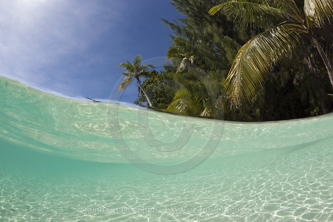 Lagune und Palmenstrand
