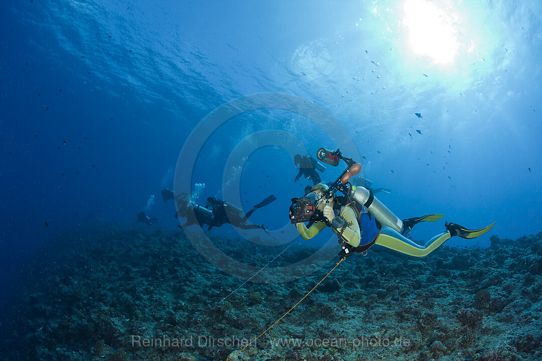 Taucher mit Riffhaken in der Stroemung, Blue Corner Mikronesien, Palau