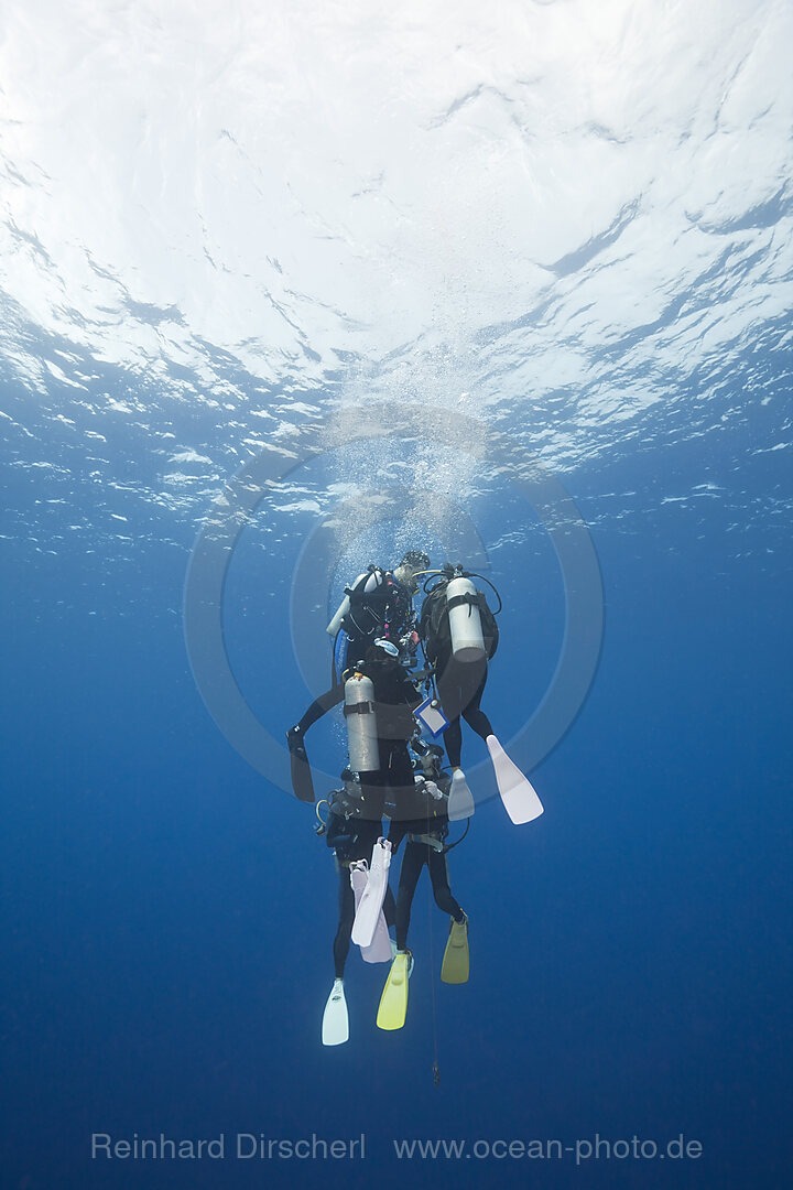 Diver doing Deco-Stop, Blue Corner Micronesia, Palau