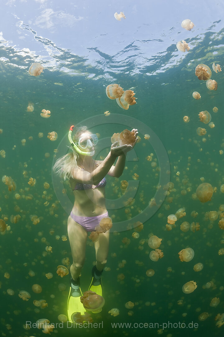 Frau in Quallensee, Mastigias papua etpisonii, Quallensee Mikronesien, Palau