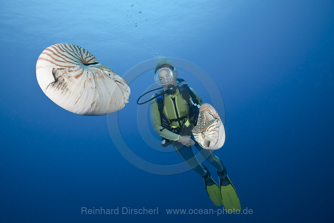 Taucher und zwei Perlboote, Nautilus belauensis, Mikronesien, Palau