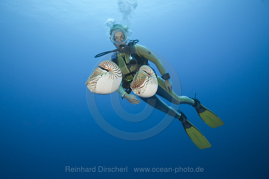 Taucher und zwei Perlboote, Nautilus belauensis, Mikronesien, Palau