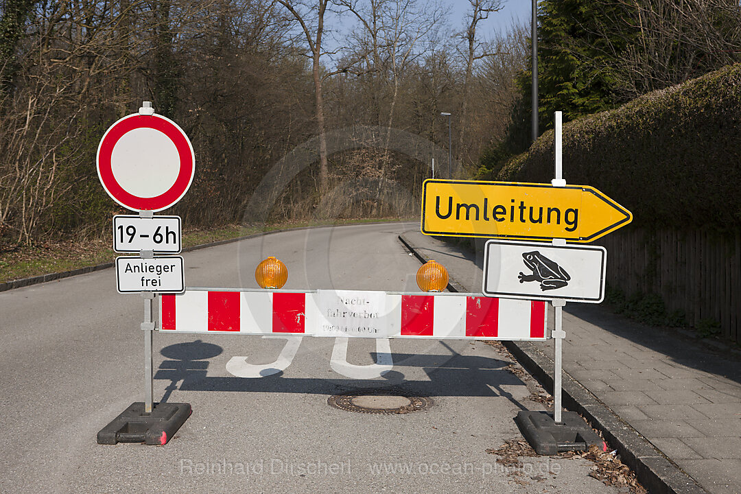 Roadblock for Toad Migration, Bufo bufo, Munich, Bavaria, Germany