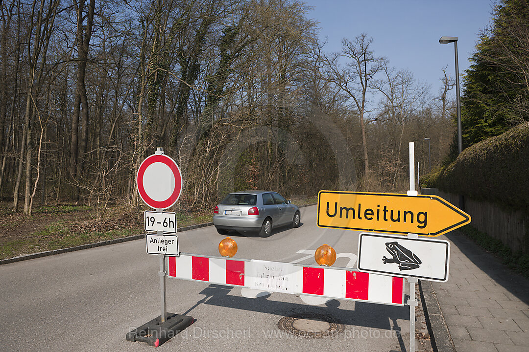 Strassensperre wegen Kroetenwanderung, Bufo bufo, Muenchen, Bayern, Deutschland