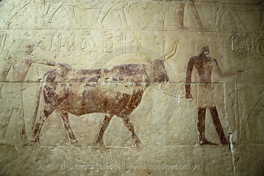 Inschrift an einer Mastaba bei Stufenpyramide Sakkara des Pharao Djoser