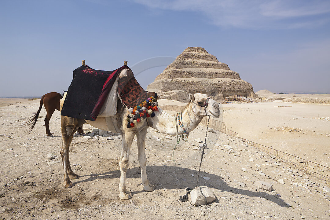 Stufenpyramide Sakkara des Pharao Djoser