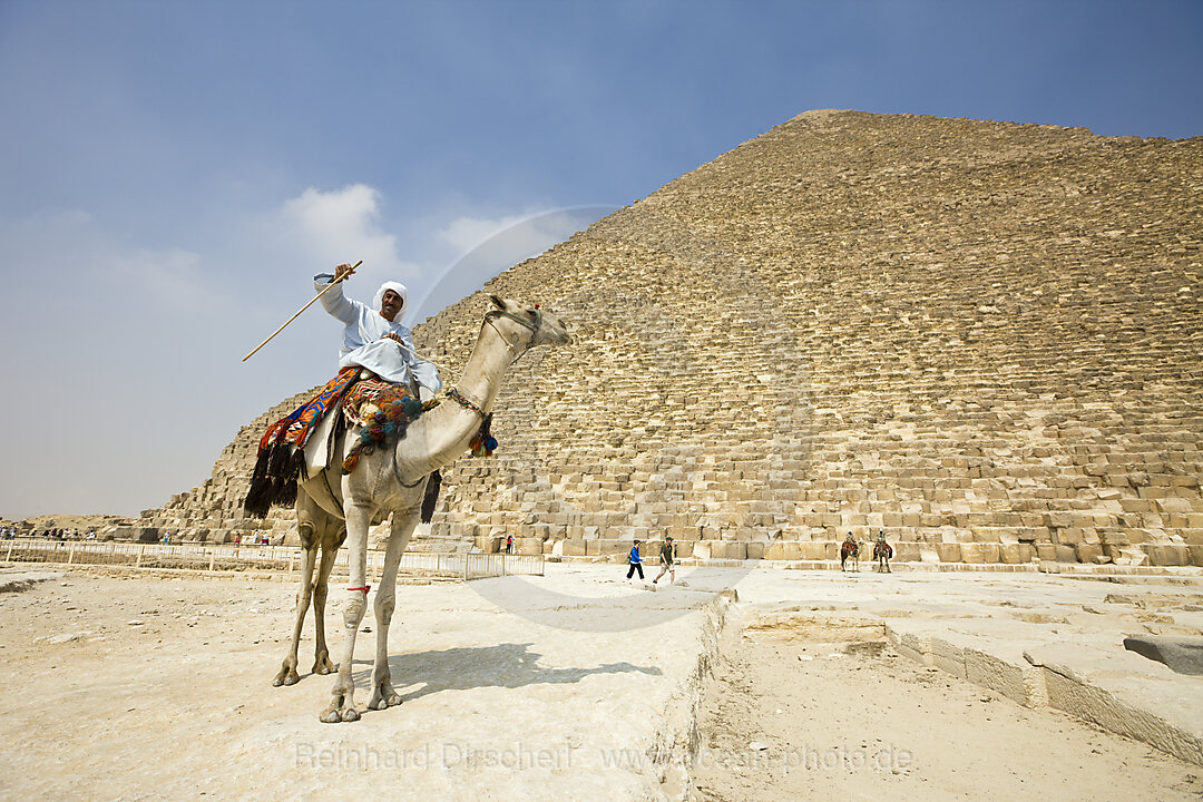 Camel Driver in Front of Pyramid of Cheops