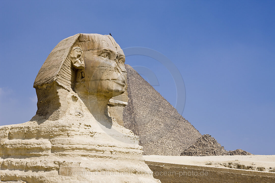 Grosse Sphinx von Gizeh