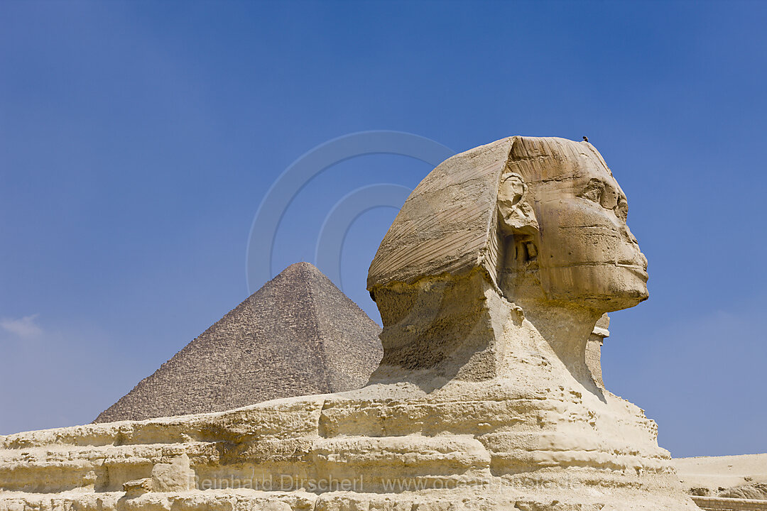 Great Sphinx of Giza against Cheops Pyramid