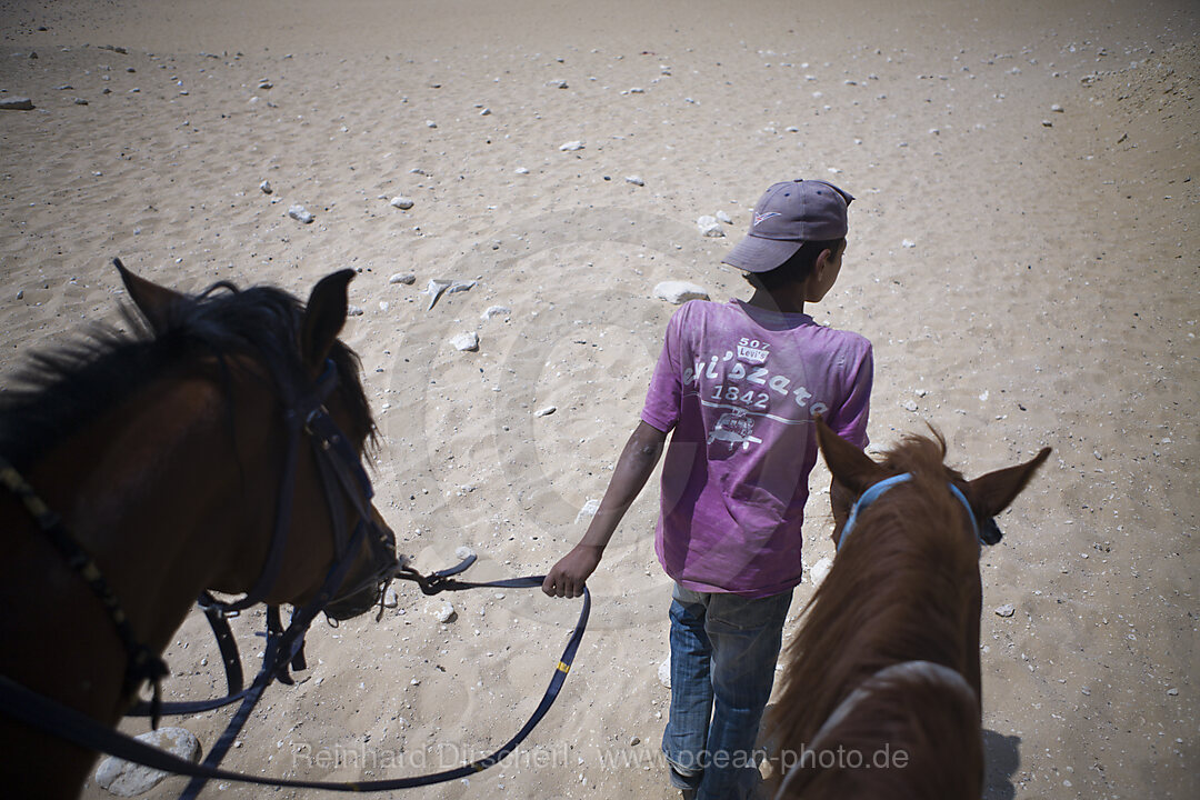Horse Tour at Pyramids of Gizeh