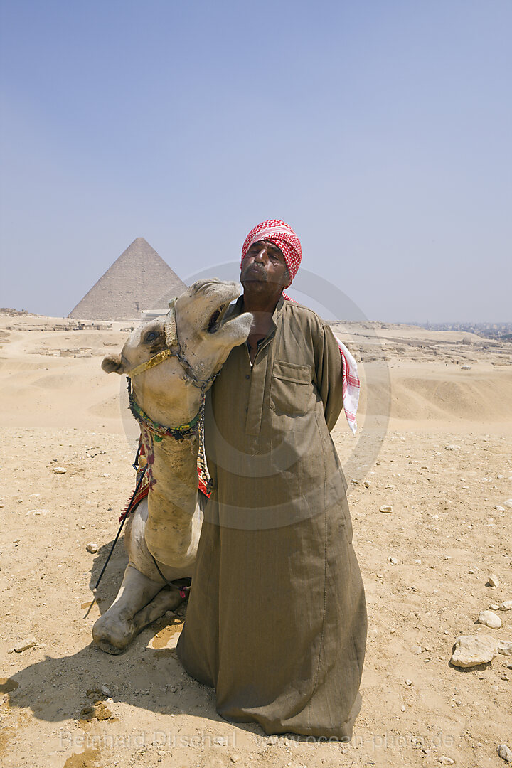 Kameltreiber vor Cheops Pyramide