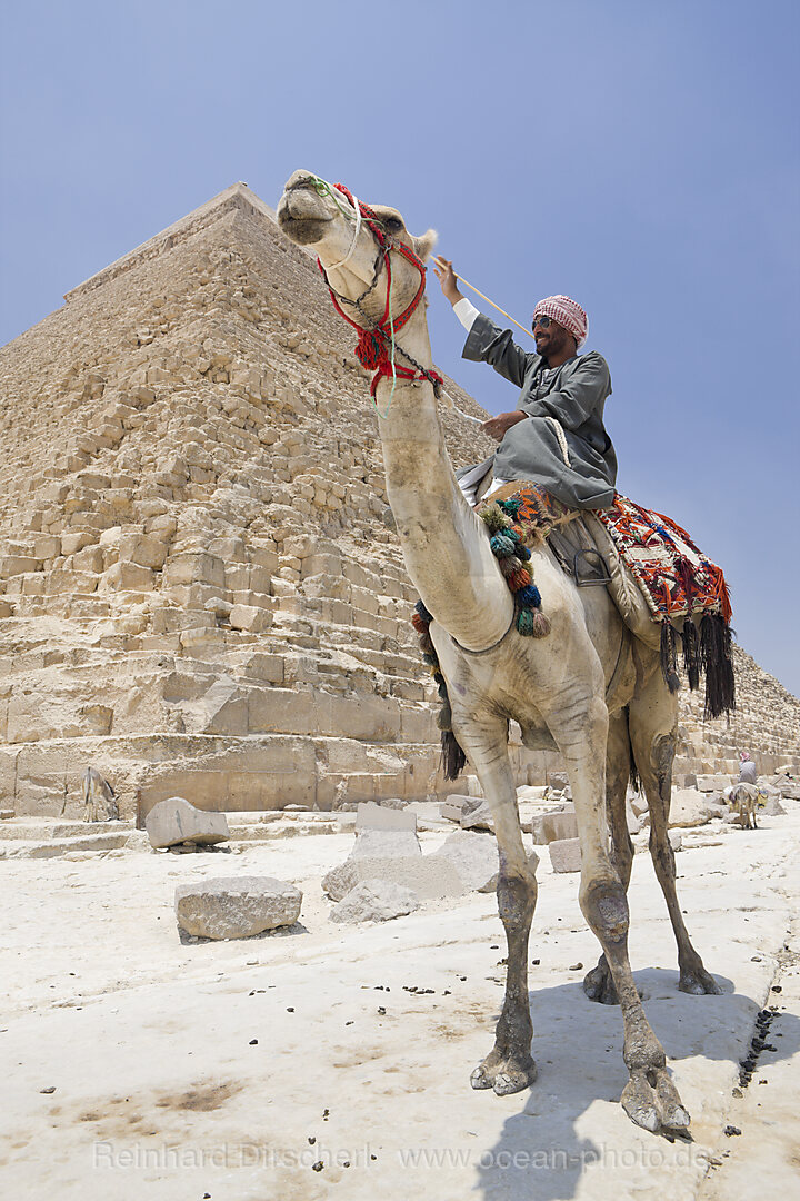 Camel Driver in Front of Pyramid of Khafra, Cairo, Egypt