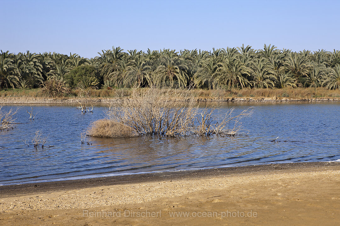 See in Bahariya Oase