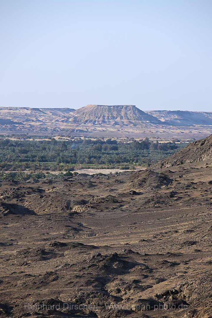 Blick auf Bahariya Oase