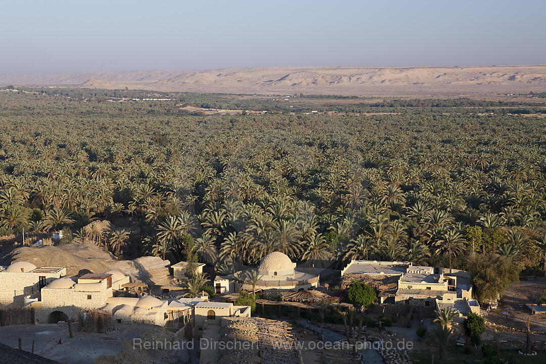 Blick auf Bahariya Oase