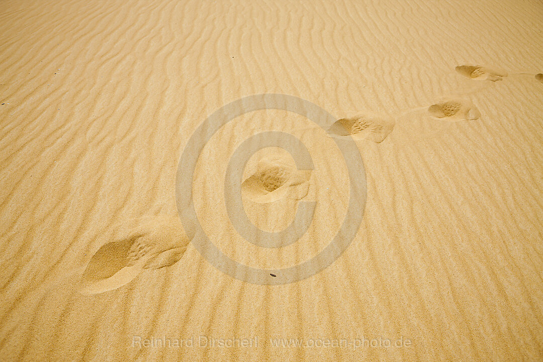 Sand Dune in Libyan Desert