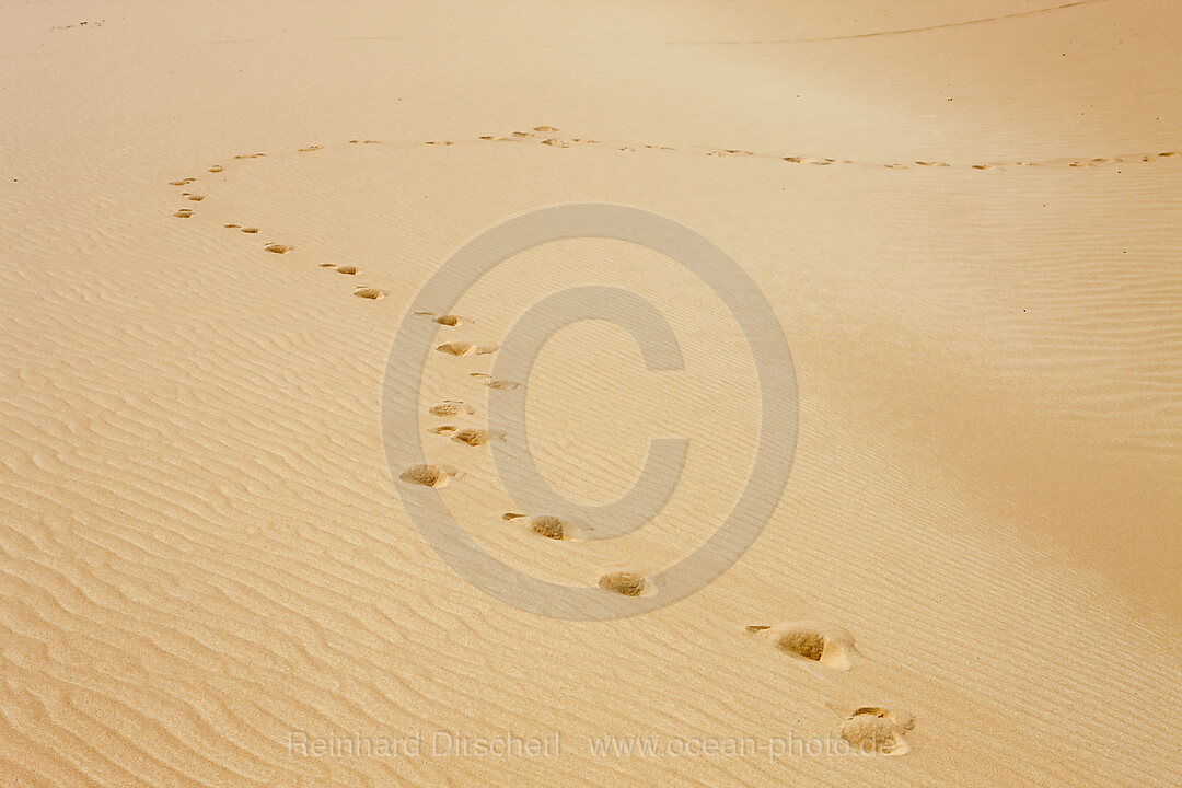 Sand Dune in Libyan Desert