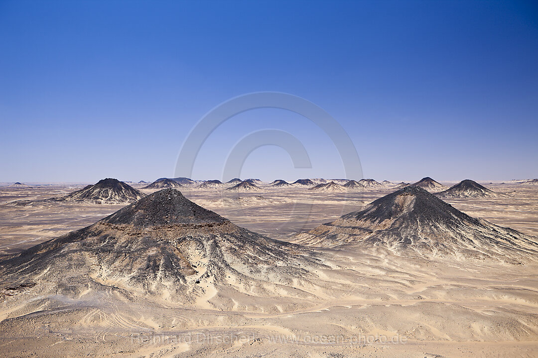 Black Desert