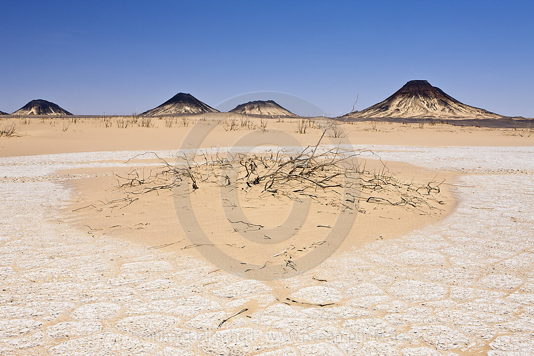 Desert near Bahariya Oasis