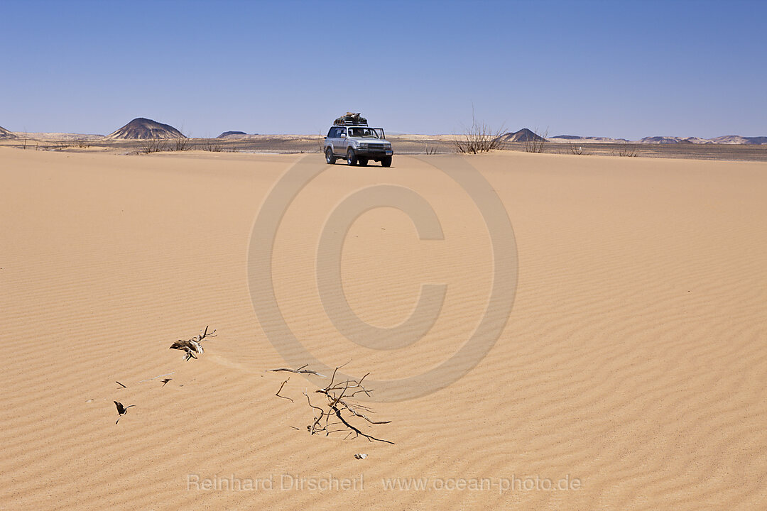 Wueste bei Bahariya Oase