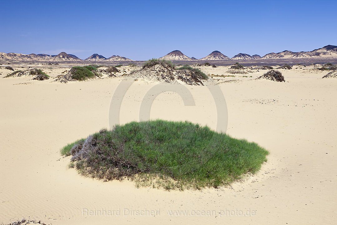 Wueste bei Bahariya Oase