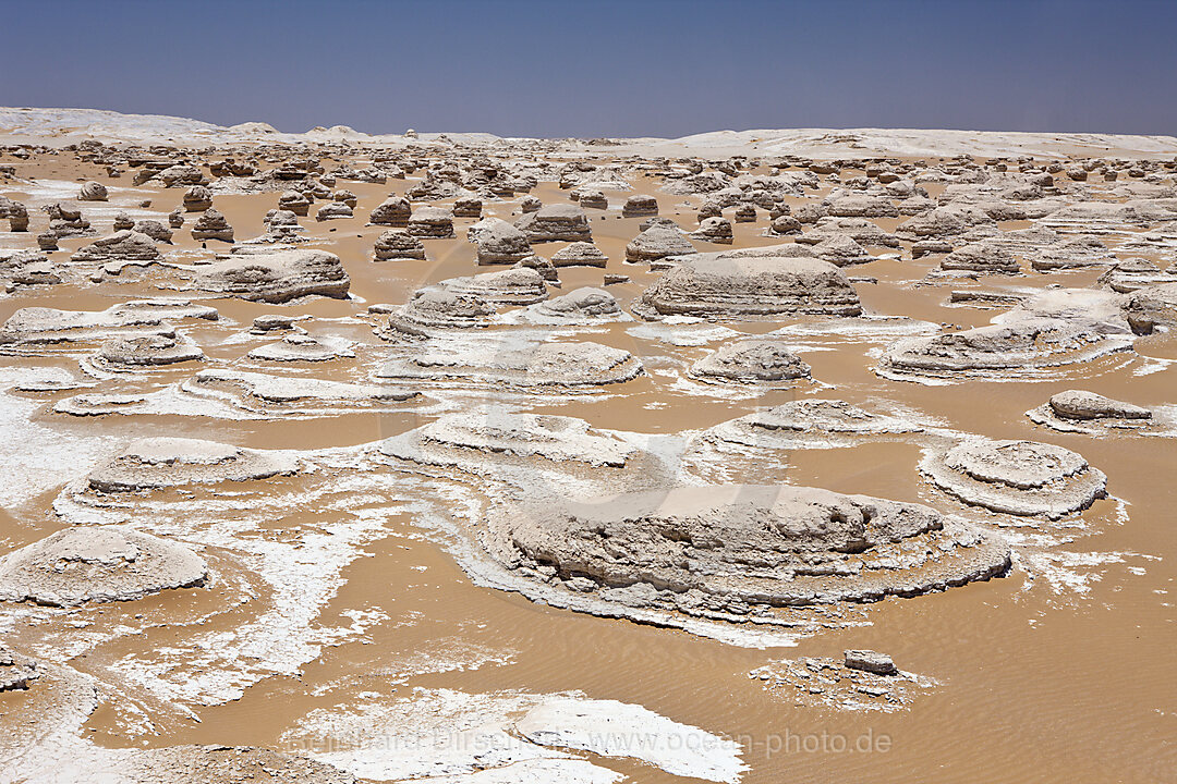 Landscape in White Desert National Park