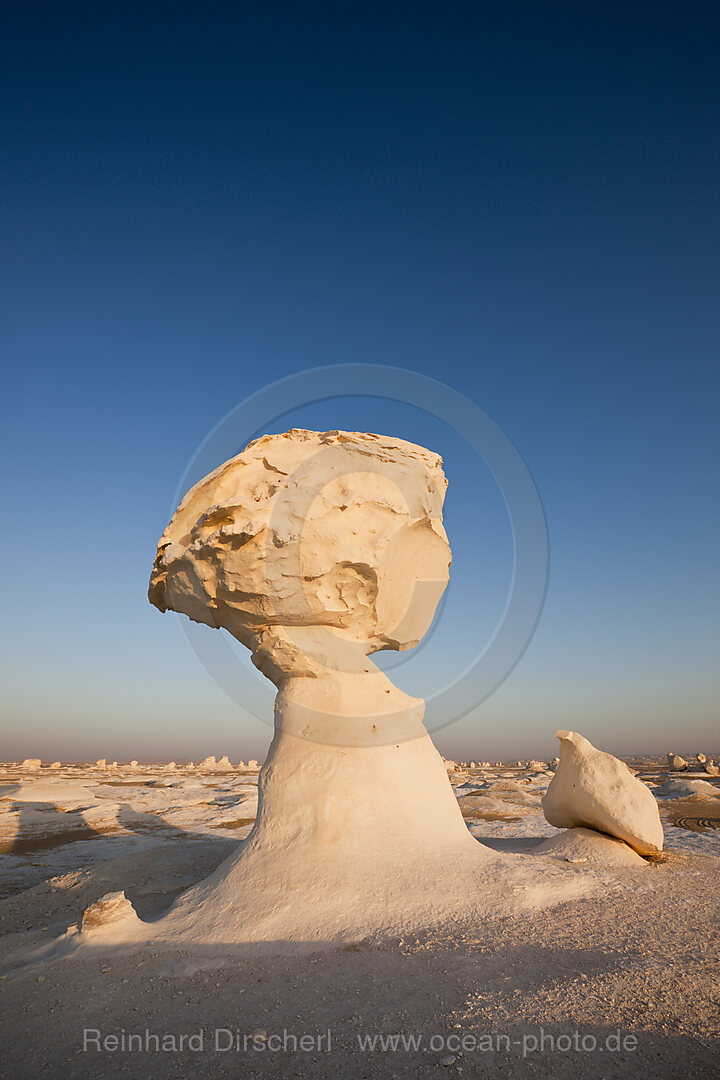 Figuren und Formationen aus Kalkstein in Nationalpark Weisse Wueste
