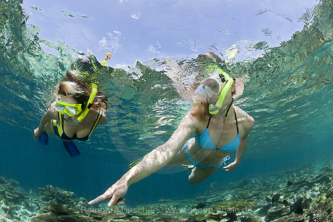 Skin Diving at Maldives