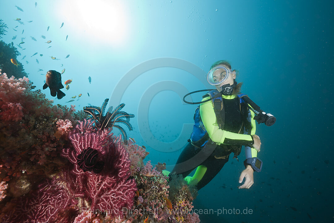 Colorfully Coral Reef and Diver