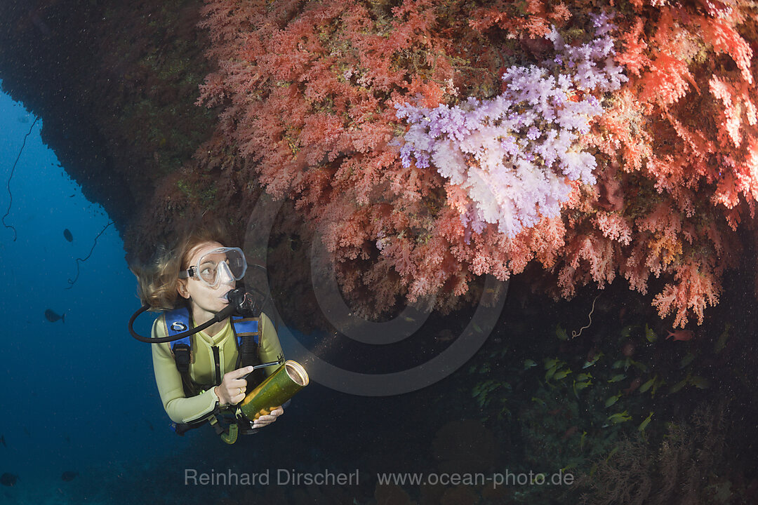 Diver and Soft Coral Reef