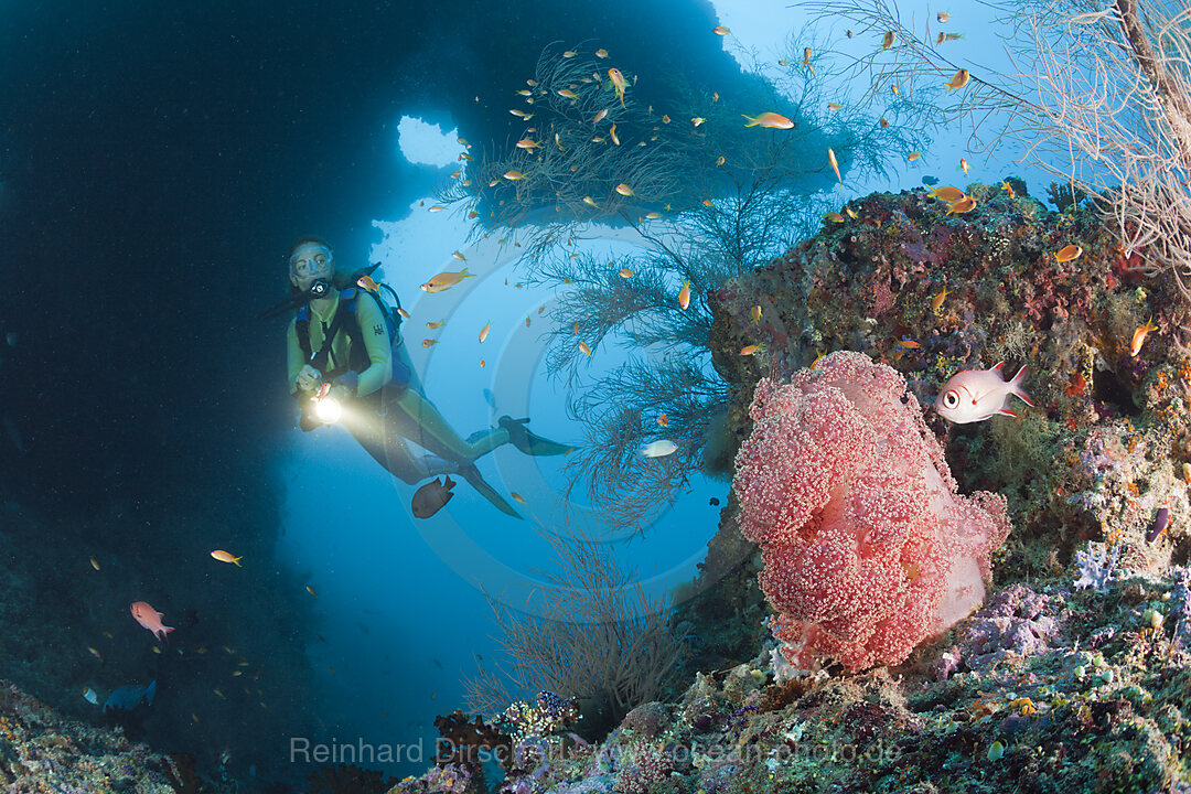 Red Soft Coral and Diver