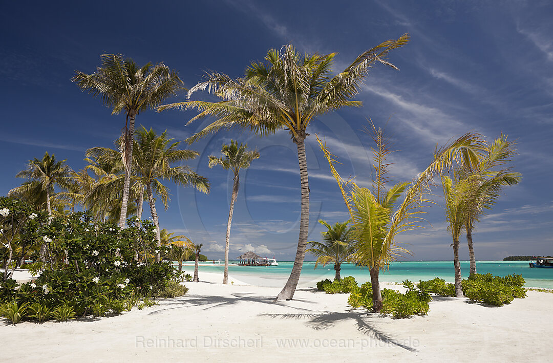 Beach of Maldive Island Kandooma