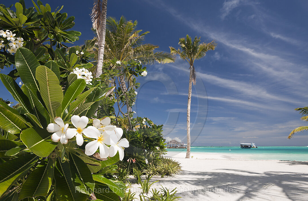 Beach of Maldive Island Kandooma