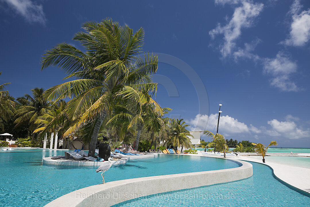 Pool of Maldive Island Kandooma