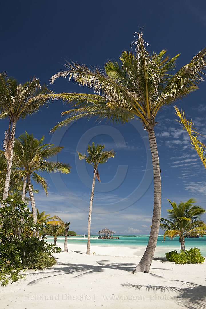 Strand der Malediveninsel Kandooma