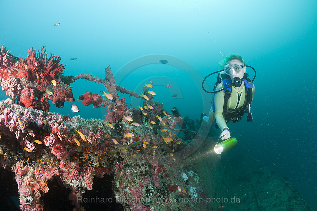 Diver at Kuda Giri Wreck